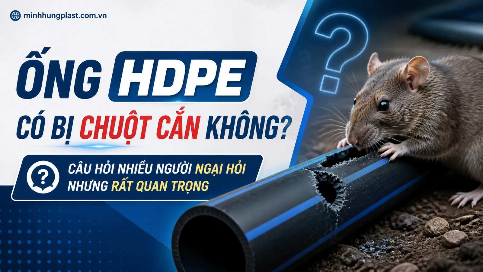 Ống HDPE Có Bị Chuột Cắn Không? Câu Hỏi Nhiều Người Ngại Hỏi Nhưng Rất Quan Trọng